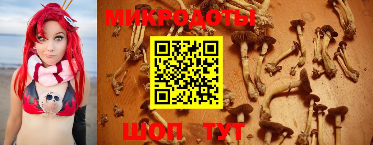 Галлюциногенные грибы мицелий  как найти закладки  Нижневартовск  Вход с VPN 